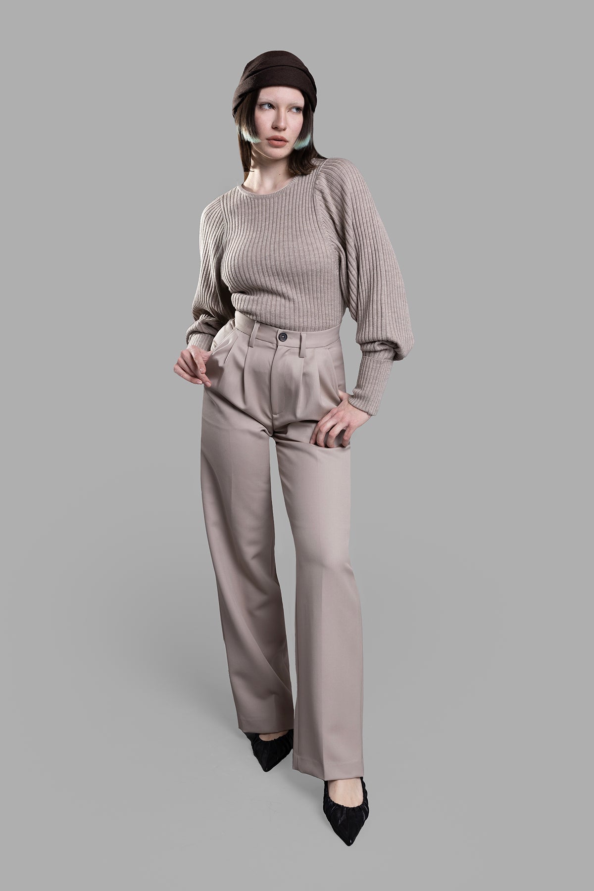 Anine Bing Pleated Taupe Pants showcased on-model, featuring double-pleats, taupe wool fabric, and a classic front view.