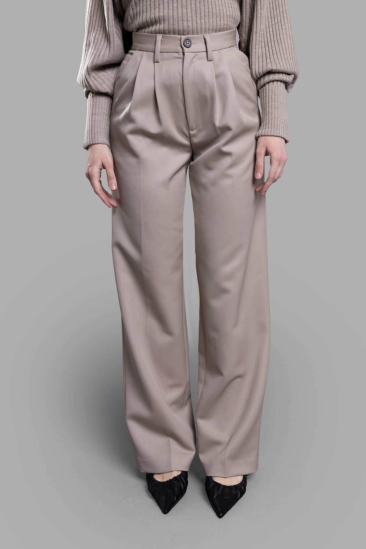 Anine Bing Pleated Taupe Pants displayed on model showcasing front view; features double pleats and functional pockets.