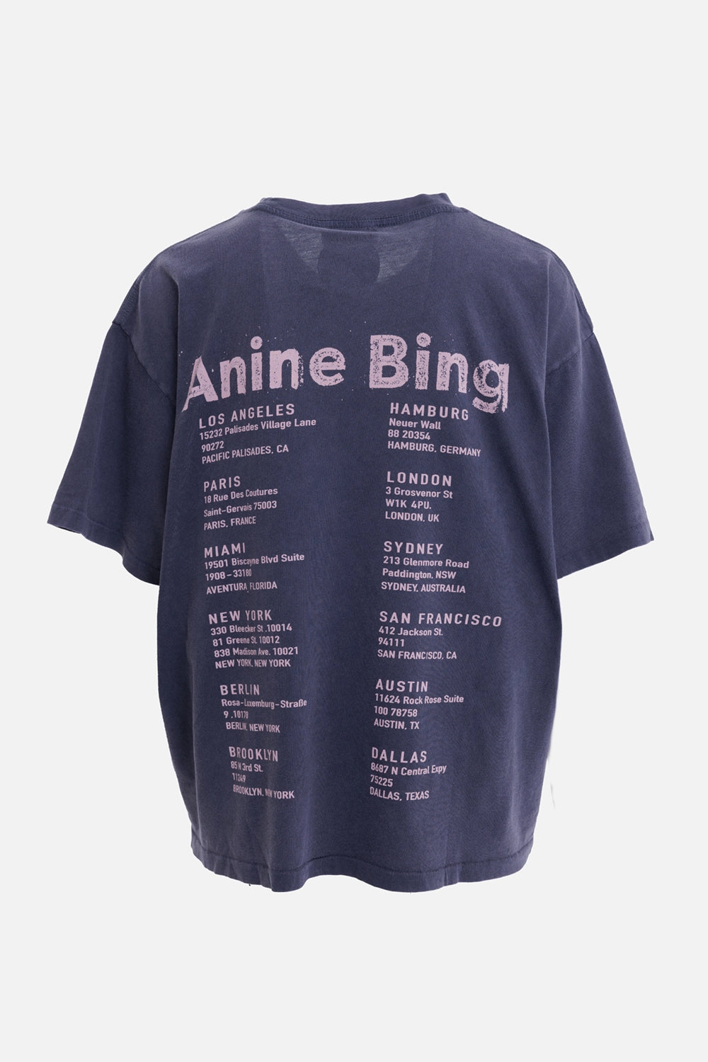 Anine Bing women's T-shirt in washed grey, back view with pink city-address graphic