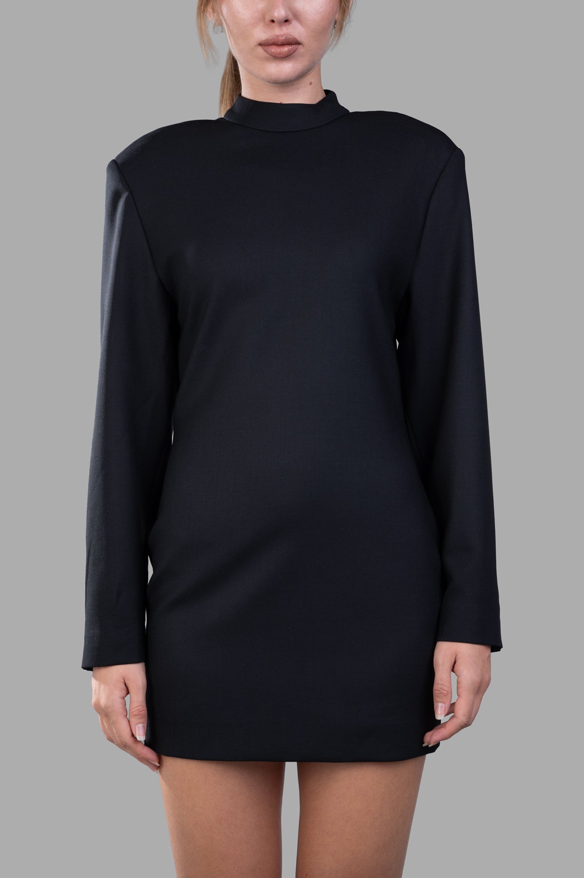 Anine Bing Adeline Dress displayed front view on model, featuring a sleek black design with long sleeves and a high neck.