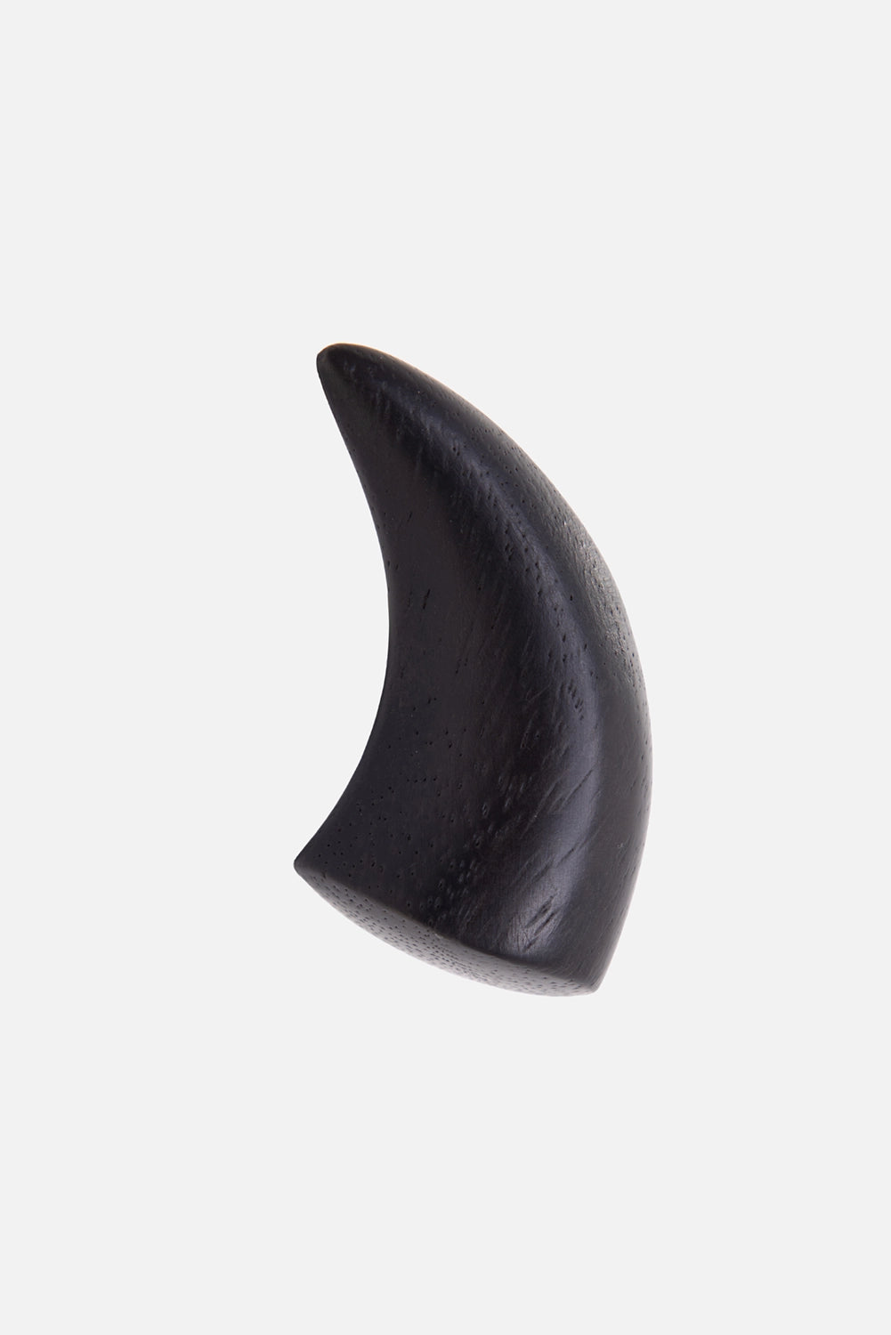 Monies women's ring in black, front view, curved acacia wood horn with pointed tip