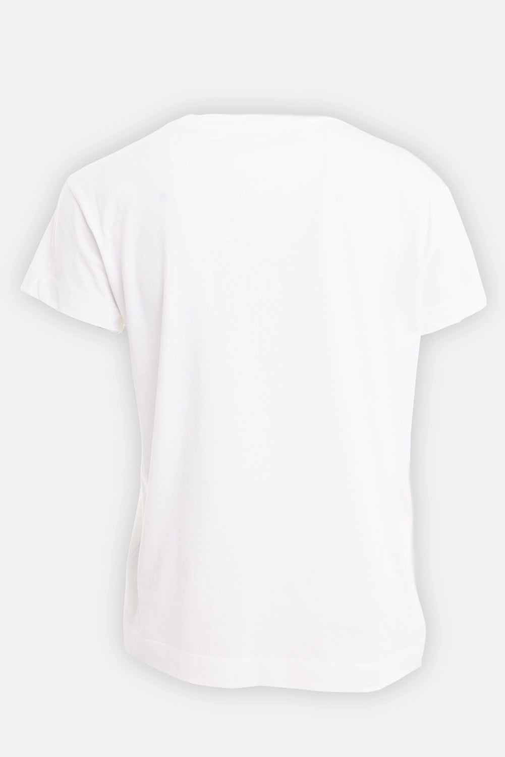 Zadig&Voltaire women's cotton T-shirt in judo, back view with plain short sleeves and straight hem